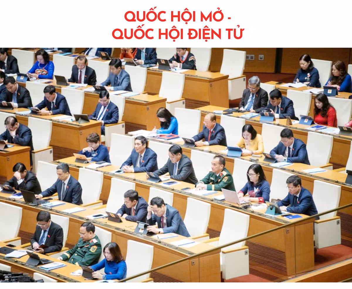 quochoi-bai3-04.jpg