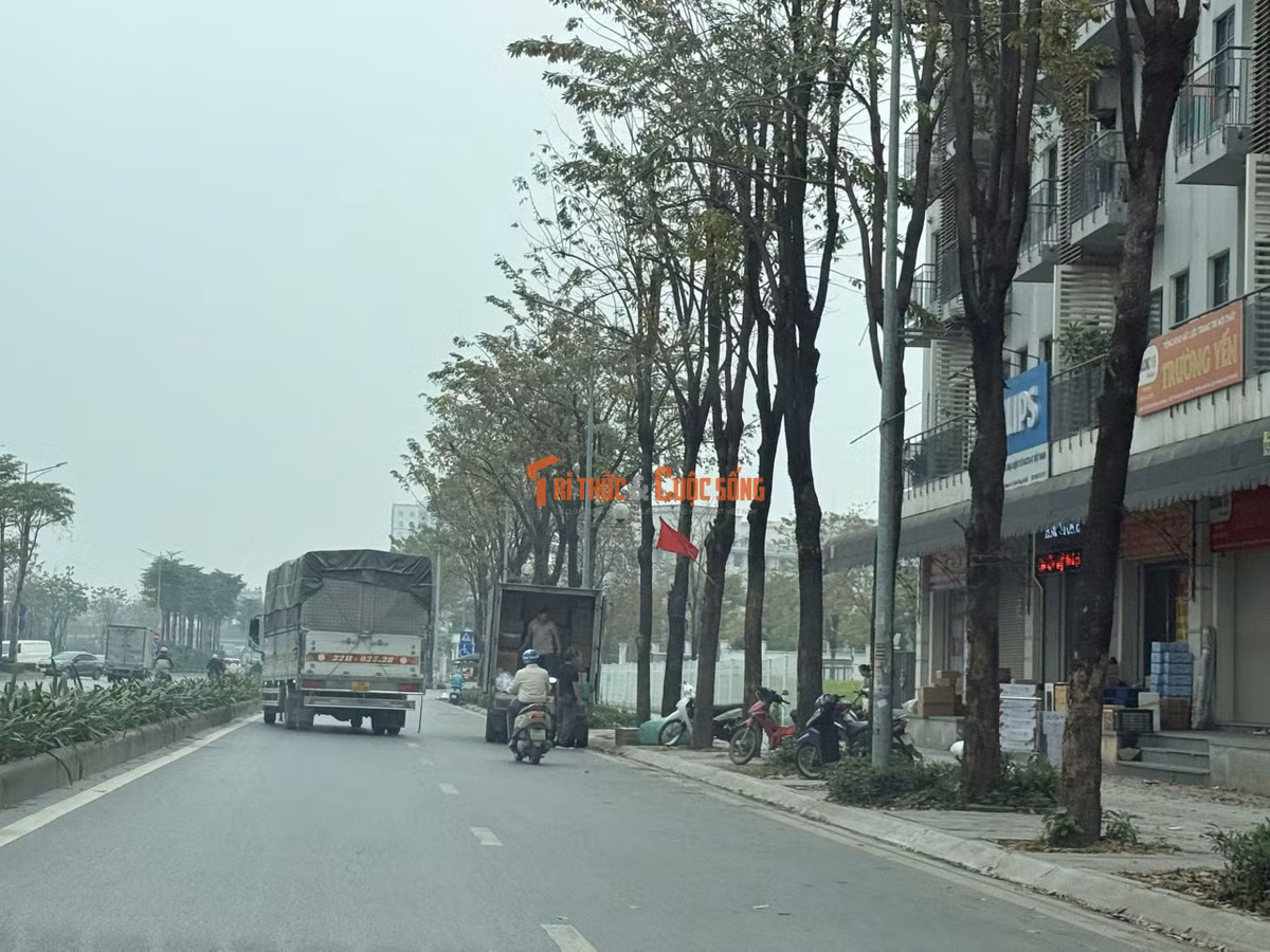 Hoạt động bốc xếp hàng của những xe tải chiếm trọn diện tích lưu thông của làn đường dành cho xe máy.