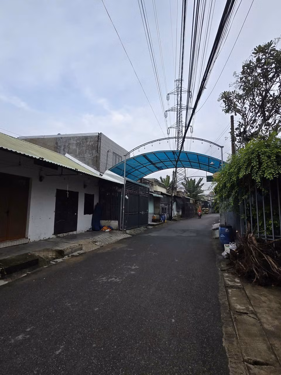 6a6bd00bb7493b1762583.jpg