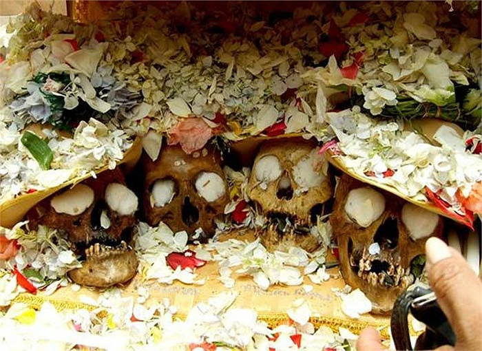 Dựng tóc gáy màn làm đẹp cho đầu lâu người 