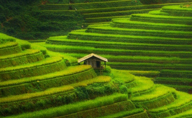 Mù Cang Chải lọt top địa điểm sắc màu nhất thế giới