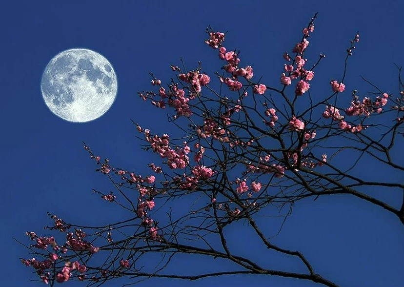 Kiêng kỵ phong thủy không thể xem thường trước tết Trung Thu