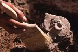 23 thiếu nữ bị trói trong lăng mộ cổ hé lộ sự thật kinh hoàng