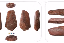 Bảng màu Thời kỳ Đồ Đá Mới 