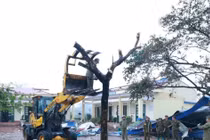 Thái Nguyên công bố thiệt hại sau trận mưa đá, giông lốc