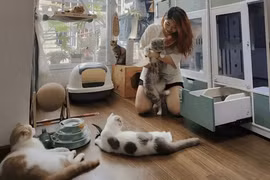 [GALLERY] Nuôi chó mèo thời 4.0, 3 combo công nghệ đáng tiền