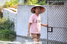 'Rốn lũ' Hà Nội vẫn mênh mông nước sau 5 ngày