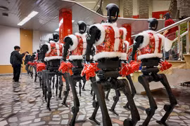 Cơn sốt thuê robot “vỡ bong bóng” chỉ sau vài tháng
