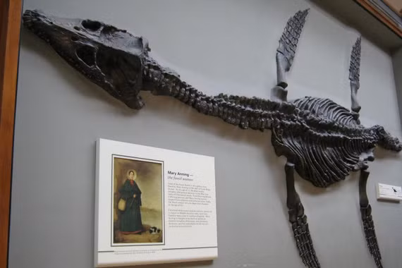 Mary Anning: Cô gái nghèo đã hồi sinh loạt 'quái vật biển' 200 triệu năm tuổi