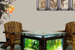 Vị trí đặt bể cá trong nhà cầu may mắn và rước tài lộc