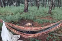 Phát hiện bộ xương người cạnh võng dù giữa đồi thông Lâm Đồng