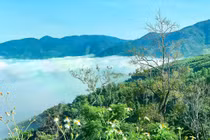 Khánh Hòa: Gói thầu xây mới Trạm kiểm lâm Sơn Trung- Sơn Bình về tay Cty Ibon