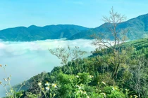 Khánh Hòa: Gói thầu xây mới Trạm kiểm lâm Sơn Trung- Sơn Bình về tay Cty Ibon