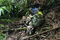 Người đàn ông tử vong trong rừng ở Lâm Đồng, nghi bị voi tấn công