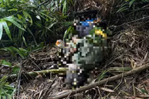 Người đàn ông tử vong trong rừng ở Lâm Đồng, nghi bị voi tấn công