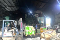 Đồng Nai: Tiêu hủy 30 tấn thực phẩm đông lạnh nhiễm bẩn 