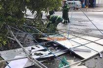 Cây xanh đổ gây thiệt hại về tài sản.