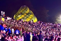 Khai mạc Lễ hội hoa mai anh đào Đà Lạt xuân 2026