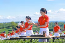 Hàng chục đại sứ dự khai mạc Lễ hội Trà quốc tế 