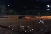 Bị nước cuốn khi đi trong mưa lớn, một phụ nữ ở Lâm Đồng tử vong