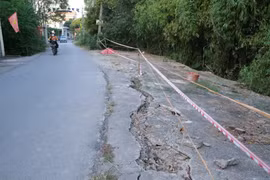 Đê Cà Lồ - Nam Viêm nứt cả trăm mét, Phú Thọ ban bố tình huống khẩn cấp