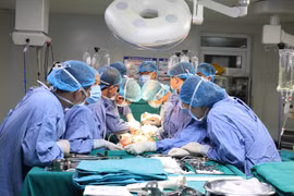 Phú Thọ chi 'khủng' thu hút bác sĩ giỏi về làm việc