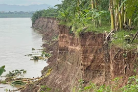 Sạt lở bờ sông Lô sát nhà dân, Phú Thọ công bố tình huống khẩn cấp