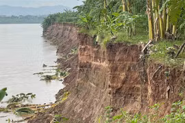 Sạt lở bờ sông Lô sát nhà dân, Phú Thọ công bố tình huống khẩn cấp