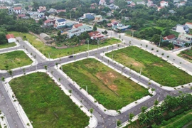 Đấu giá 23 ô đất tại phường trung tâm tỉnh Phú Thọ, giá từ 25 triệu đồng/m2