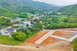 Phú Thọ yêu cầu xử lý vi phạm phân lô, bán nền trái phép