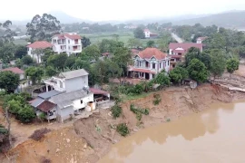 Phú Thọ chi 12 tỷ đồng gia cố bờ sông Lô sau sự cố sạt lở nghiêm trọng