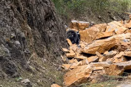 Sạt lở lớn tại đèo Thung Khe, nhiều người nghi bị vùi lấp