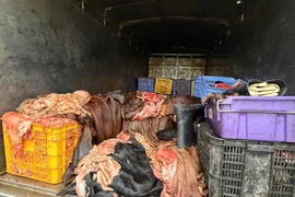 Phú Thọ phát hiện 1,2 tấn mỡ, da trâu, bò không rõ nguồn gốc