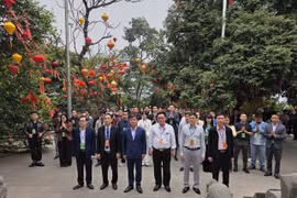 Phú Thọ ra mắt CLB Niềm tin số Đất Tổ, kết nối KOL chống tin giả