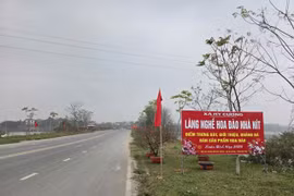 Khám phá làng đào Nhà Nít Phú Thọ mùa Tết sôi động