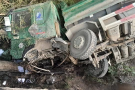 Xe tải húc văng lan can cầu Bến Nghệ rồi lao xuống sông