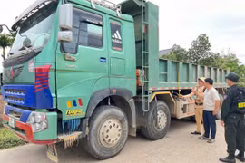 Phú Thọ xử lý 453 xe vi phạm tải trọng trên nhiều tuyến đường