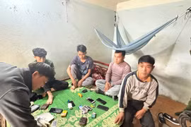 Bắt quả tang nhóm người đánh bạc trong phòng trọ ở Phú Thọ