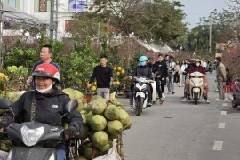Chợ Tết Thanh niên Phú Thọ nhộn nhịp trở lại sau mưa rét