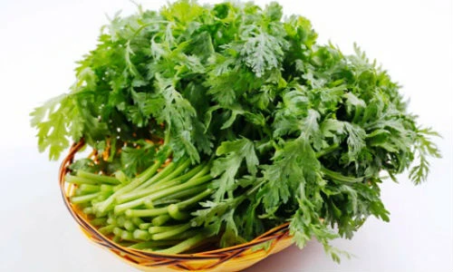 Cải cúc - thần dược giá rẻ chữa đau đầu kinh niên