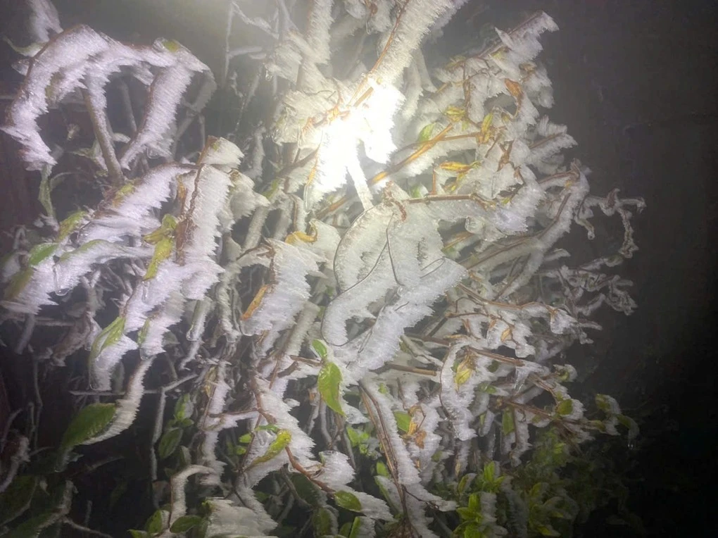 Fansipan đẹp siêu thực trong ngày băng giá hớp hồn du khách