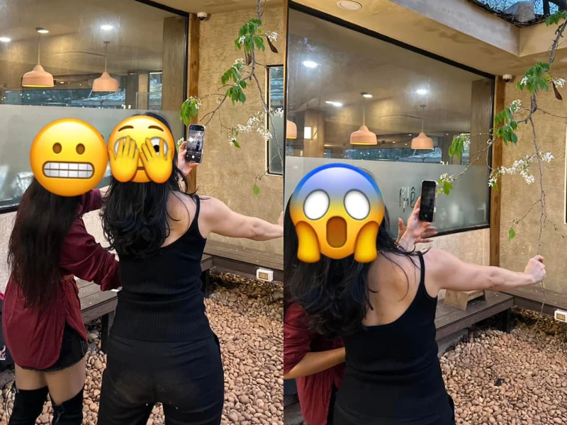 Check-in cây hoa sưa hot nhất Hà Nội, nhiều người gây tranh cãi