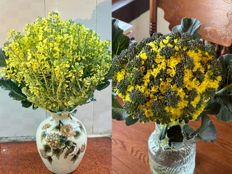 Chị em rủ nhau cắm hoa súp lơ, thành quả đẹp không tưởng