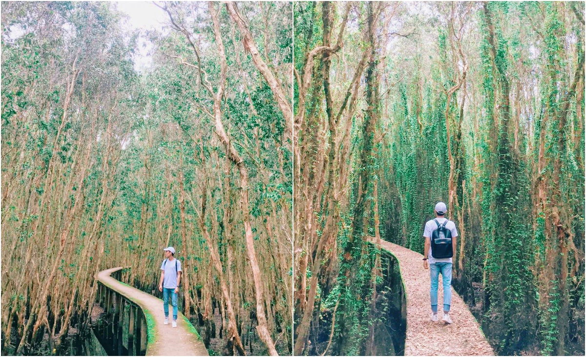 Cuối tuần rủ nhau về Long An dạo chơi rừng tràm Tân Lập xanh mướt