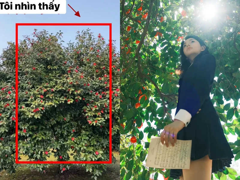 Không thể tin vào mắt với những bức ảnh “nhìn thấy và chụp được“