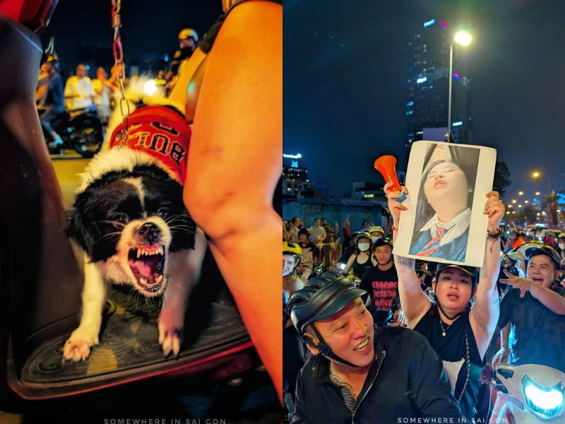 Loạt ảnh “đi bão” ấn tượng ăn mừng chiến thắng tuyển Việt Nam 