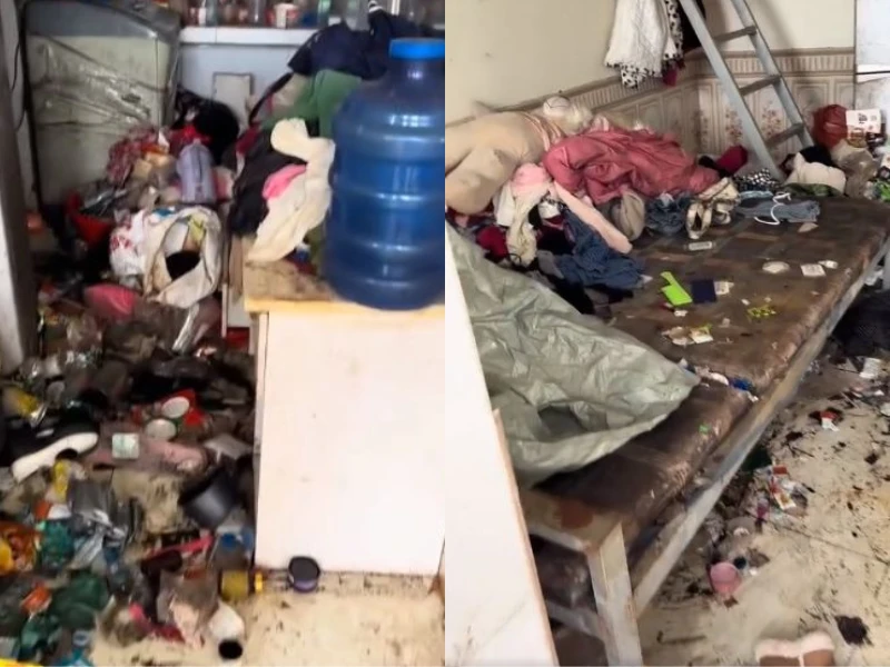 Chủ phòng trọ hoảng hồn khi kiểm tra phòng của khách thuê