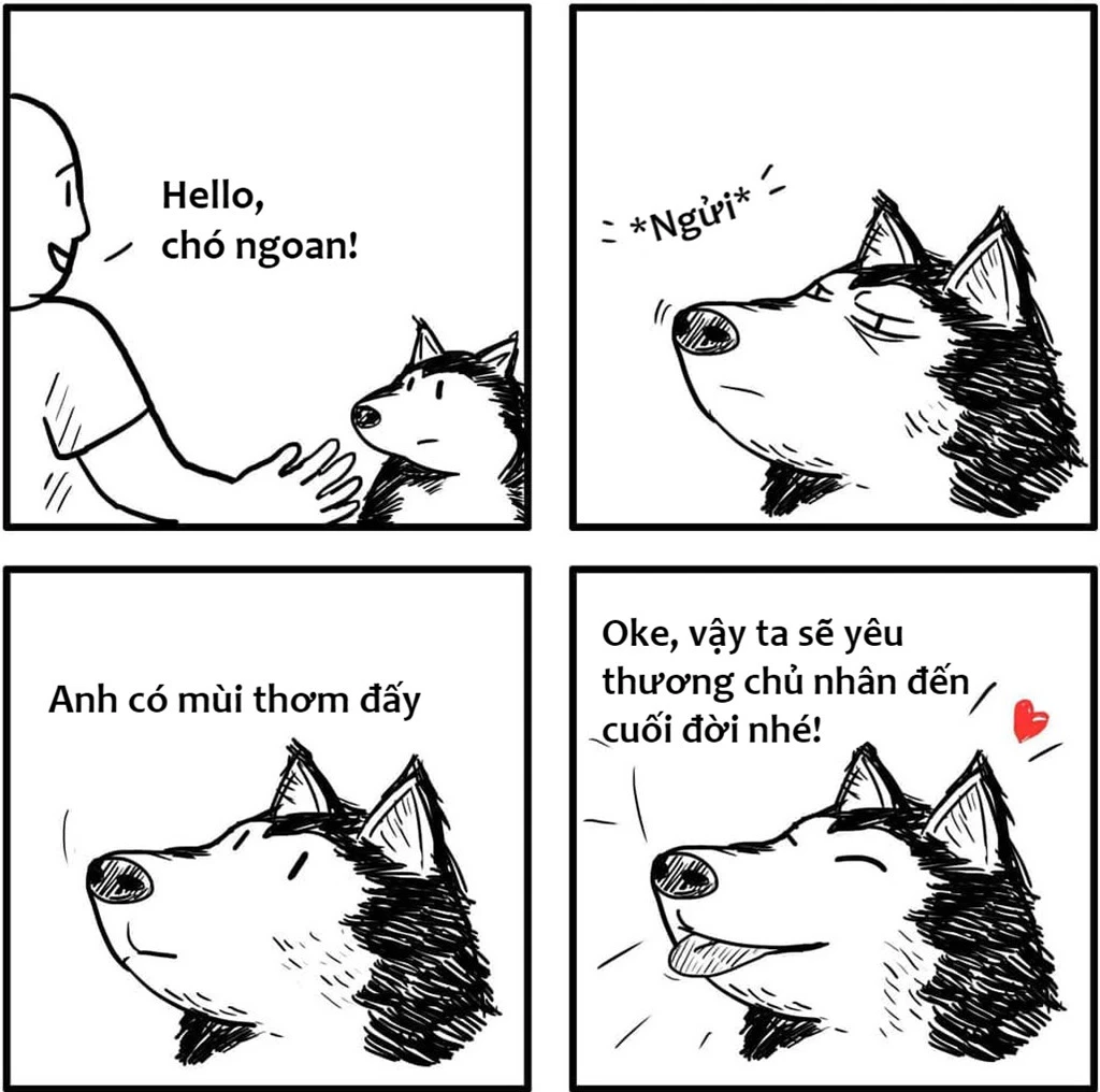 Bộ tranh: Sự khác nhau hài hước giữa chó và mèo