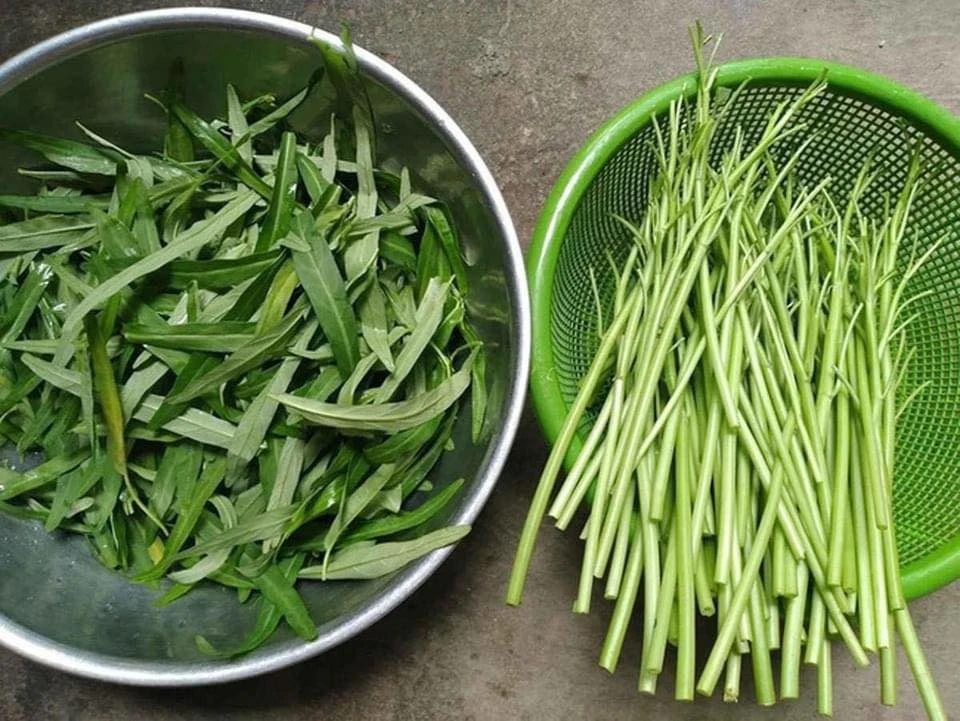 Loạt ảnh bữa cơm xa nhà đầu tiên của tân sinh viên