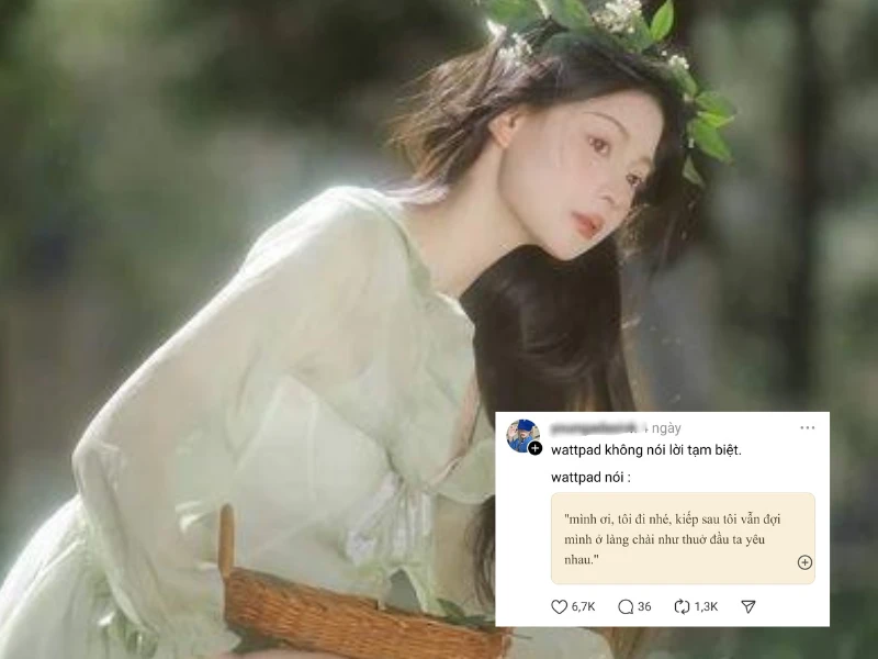 “Wattpad nói” là gì mà trở thành trào lưu nổi khắp cõi mạng?